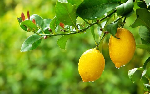 感染生病，是为了成就更好的自己——阳性康复案例分享