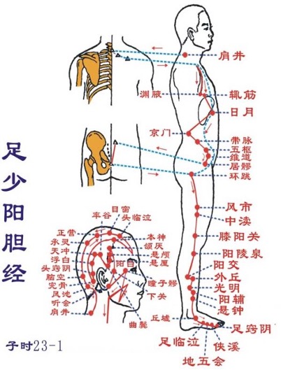 胆与肾排毒与排石  拍胆经肝经