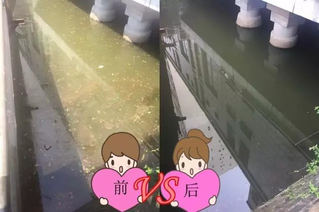 净化案例 | 环保酵素净化家⻔⼝的河道