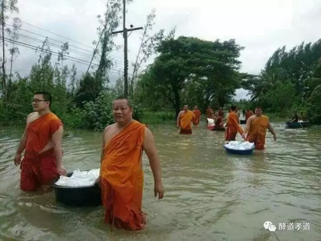 【绿动中国】乐博⼠：迈向光明