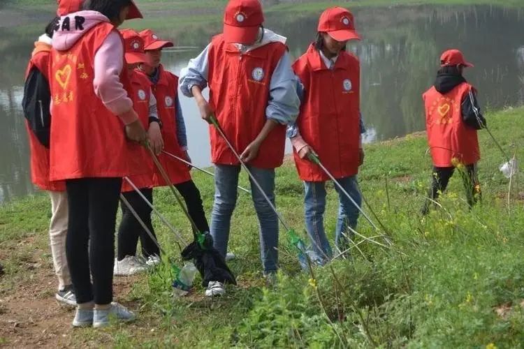 中国返乡青年//学以致用，返乡青年推动零污染乡村建设落地