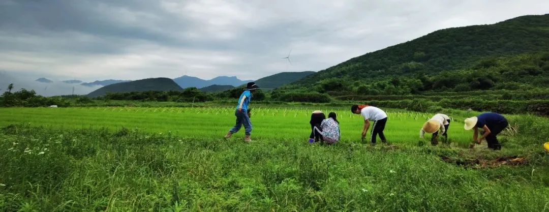 8月6日-8月16日 “酵素生态农法”实践营第二期开始报名啦！