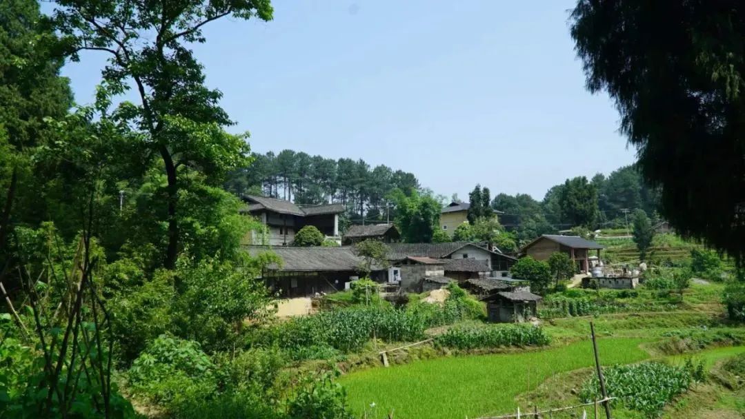 重庆.大顺//大顺零污染村庄建设启动暨首届“心归处 零污染”文化月活动