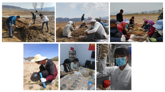 线下活动// 中国农业大学王小芬教授将出席河南零污染大会