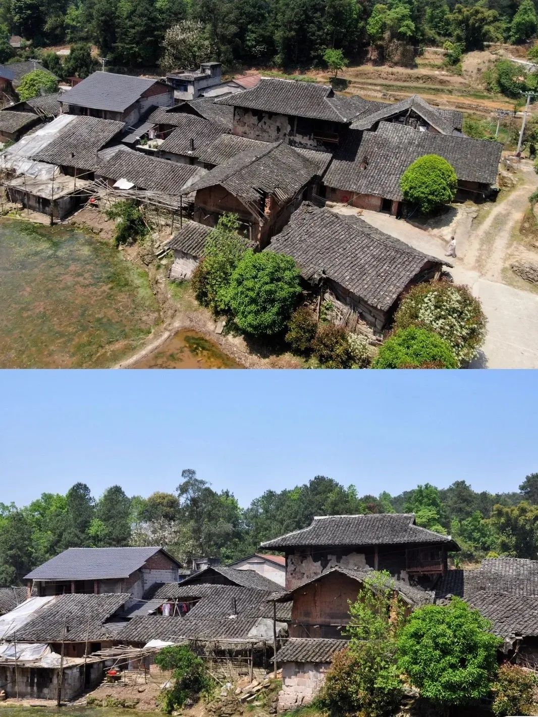 重庆.大顺//大顺零污染村庄建设启动暨首届“心归处 零污染”文化月活动