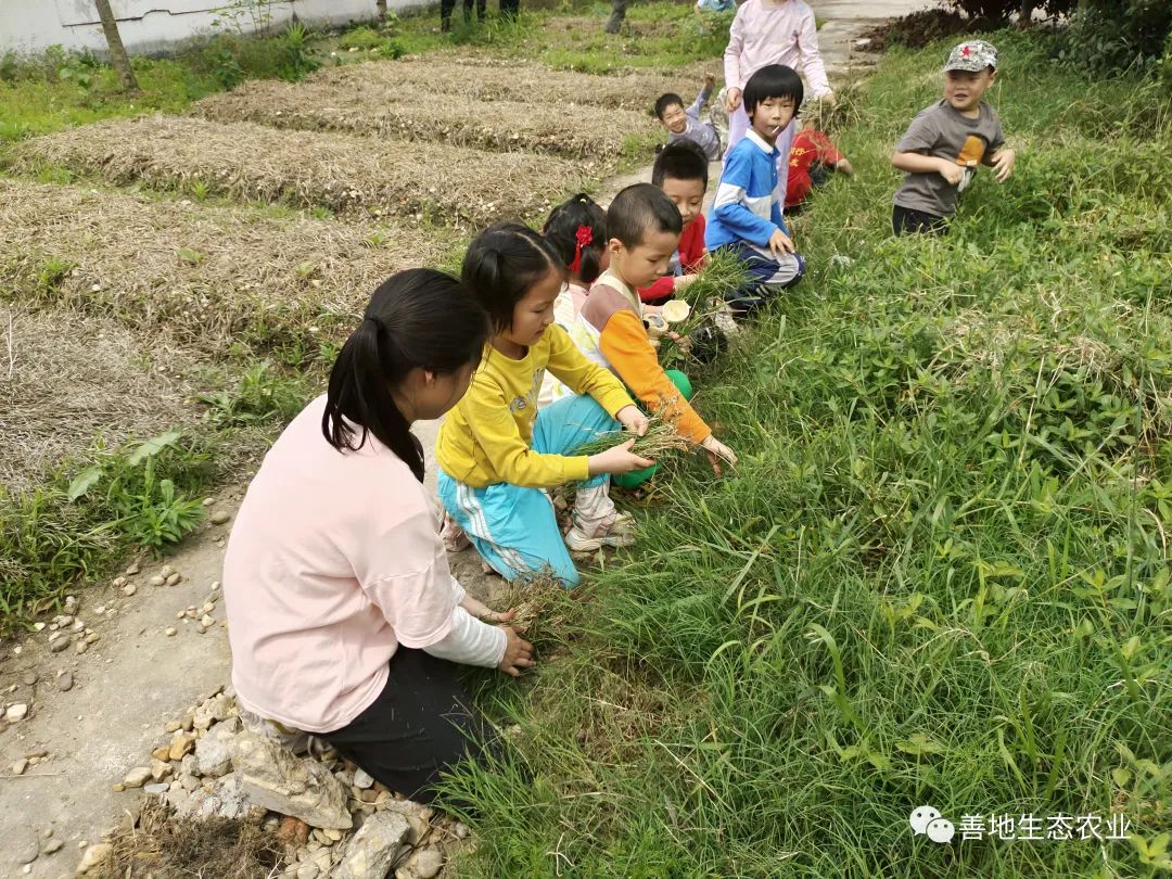 线下活动//一起开启湖南岳阳零污染家乡建设新征程