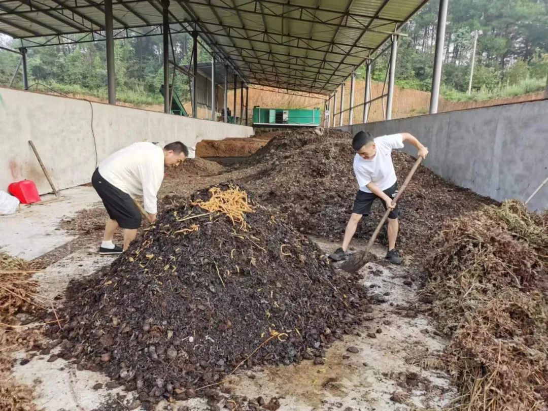 重庆·大顺//友善农耕实践营日记 | 土著菌，了解有多少？