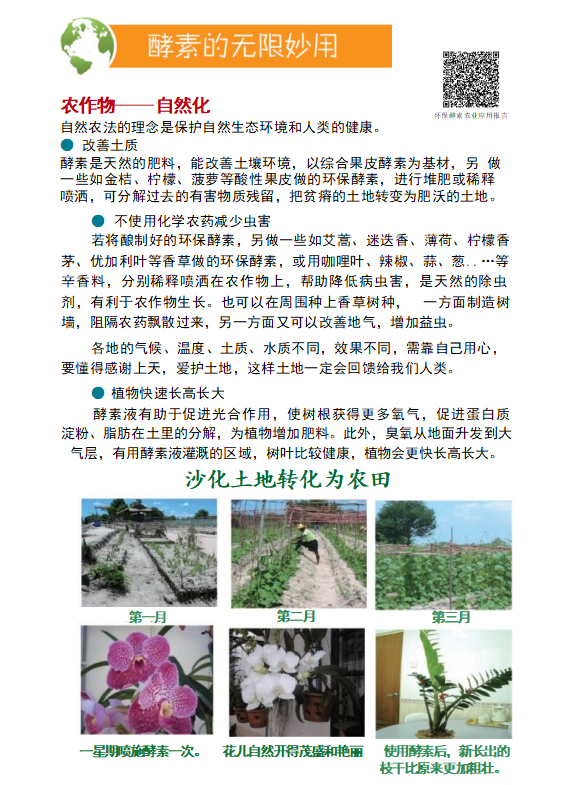 环保酵素的无限妙用