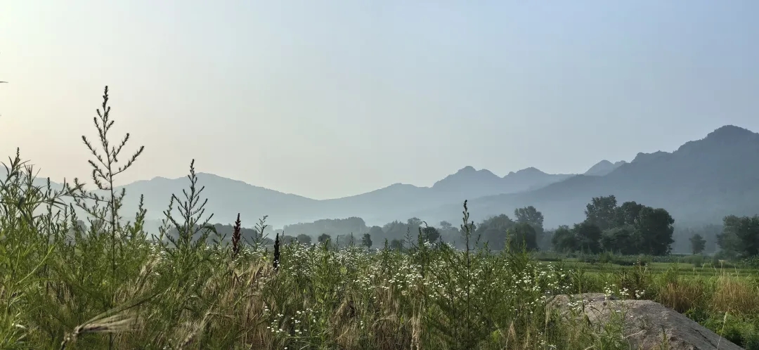 迈向零污染的七峰山生态村