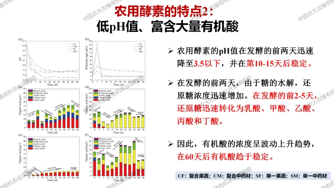 建议收藏//王小芬老师：农用酵素技术是国家千万工程示范建设抓手ppt分享