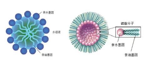 重磅科普！洗发水成分知多少？（建议收藏）