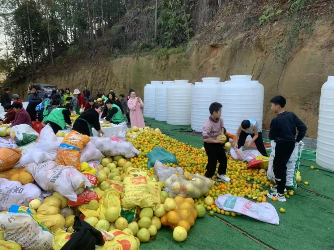 零污染实践营课程在重庆开州圆满完成，地方政府领导和各村代表参与学习