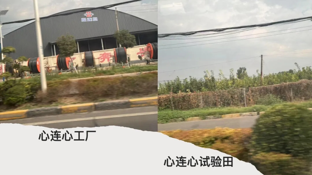 【大学生下乡服务汇报】赤诚蒲公英队-常兴铺村