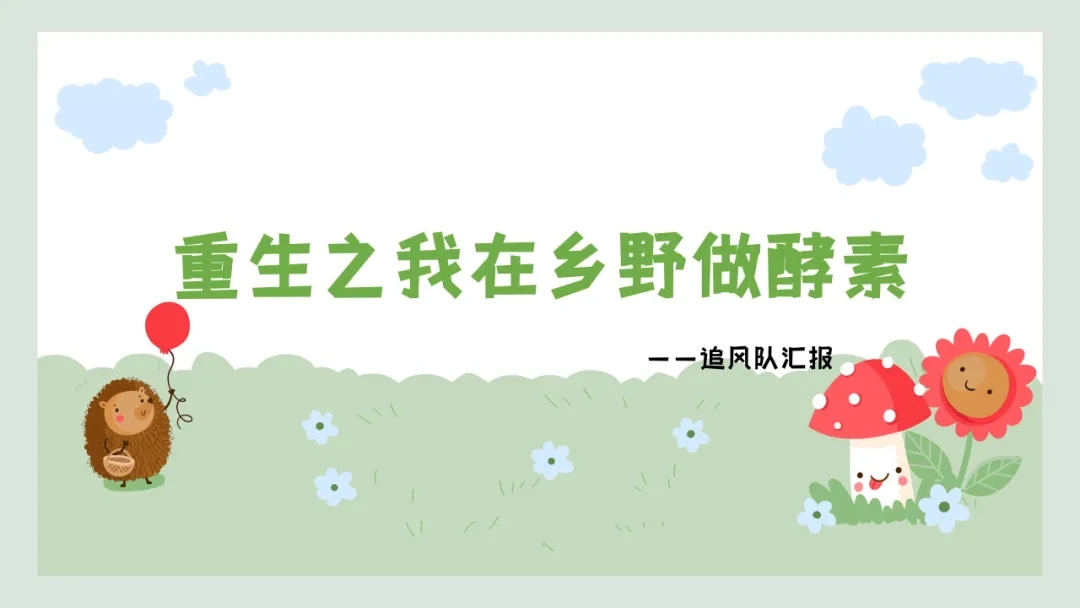 【大学生下乡服务汇报】追风队