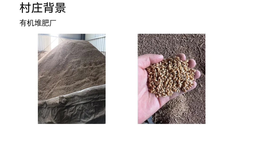 【大学生下乡服务汇报】未济队