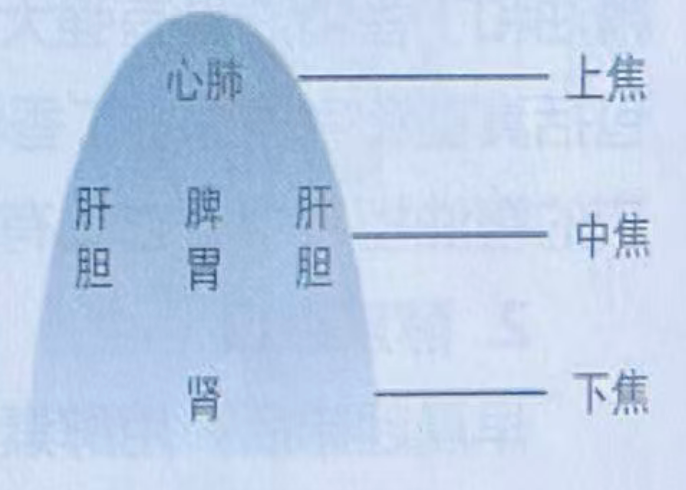 【产品简介】刮舌棒