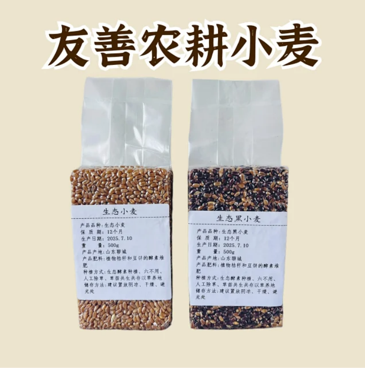 【产品简介】酵素小麦