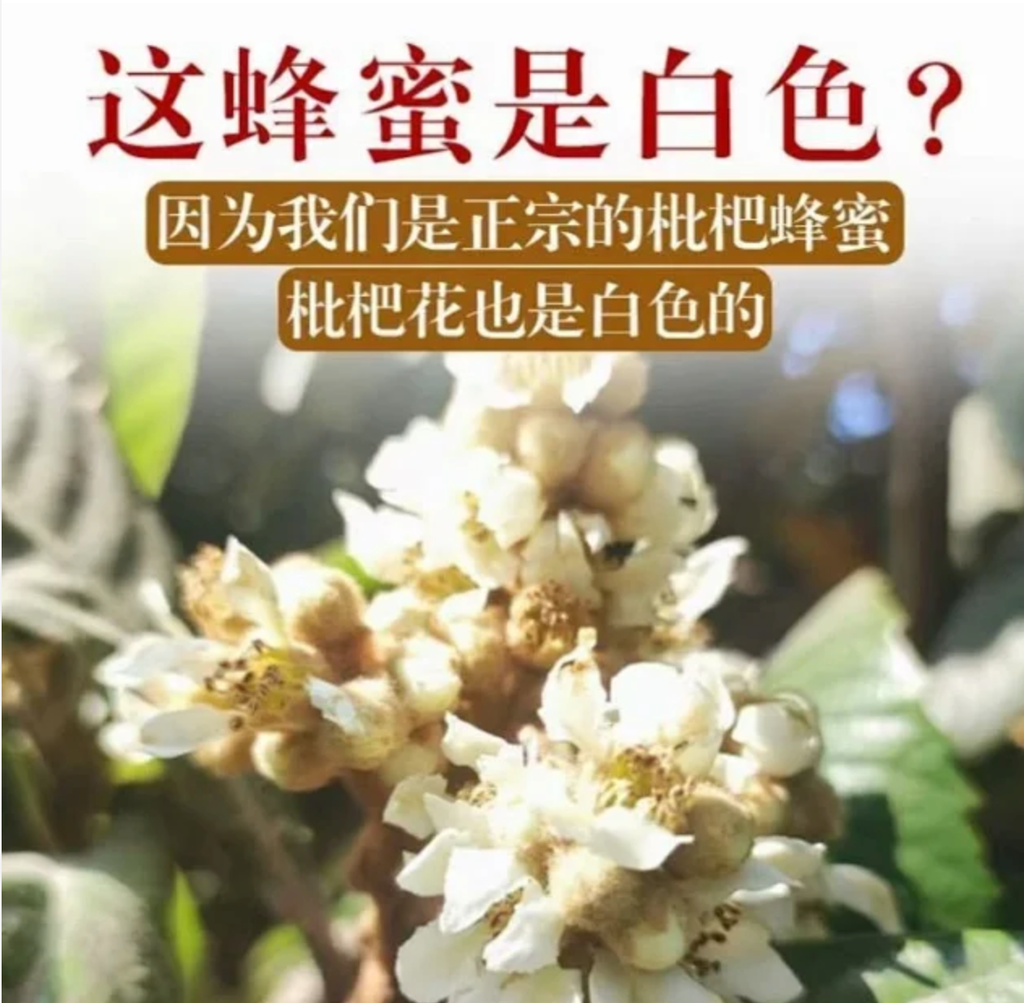 【产品简介】枇杷雪蜜