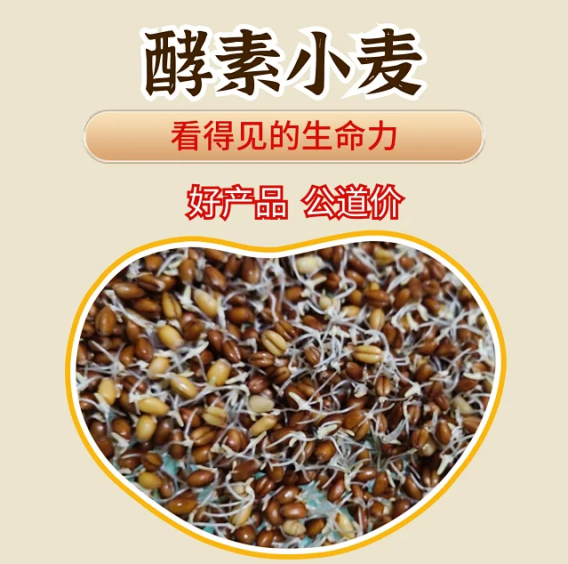 【产品简介】小麦